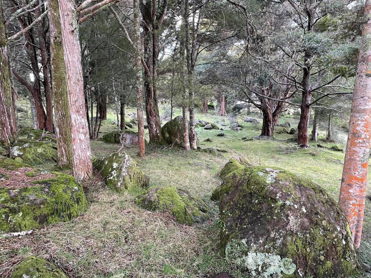 St Karas Cottage - St Enoch And St Elijah Monastery Kaikohe Exterior foto